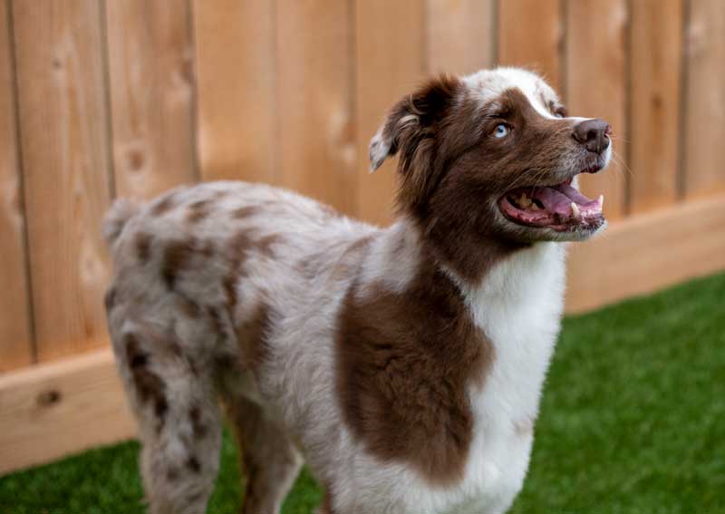 Carousel Slide 9: Learn more about our caring staff